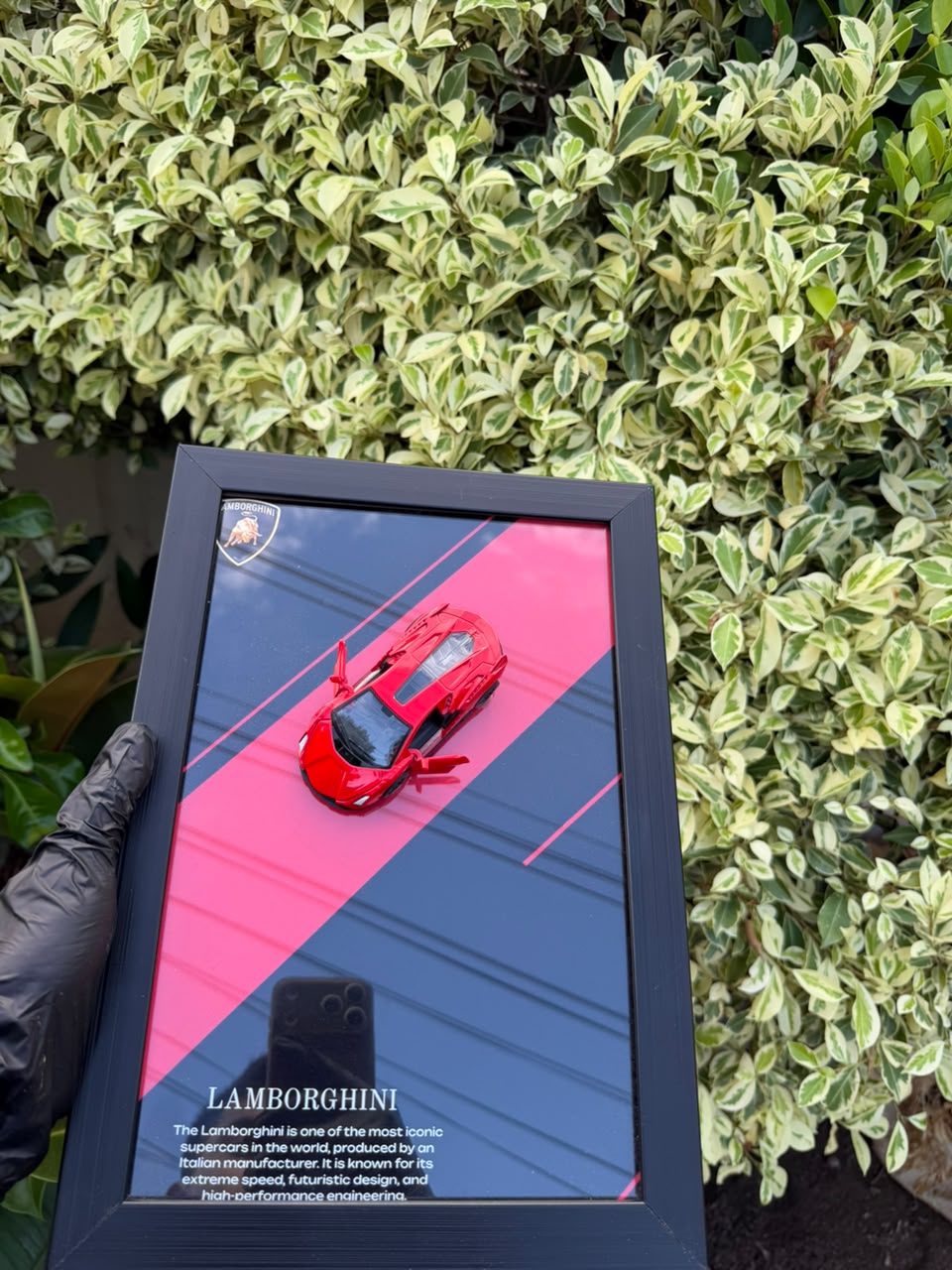Lamborghini Diecast Car Frame | Red & Yellow