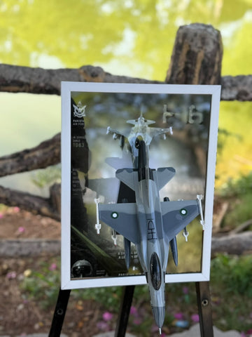 F-16 Fighter Jet Aircraft Frame | A3 | Framery